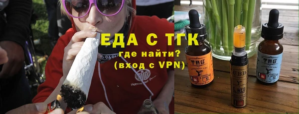 ECSTASY Ельня