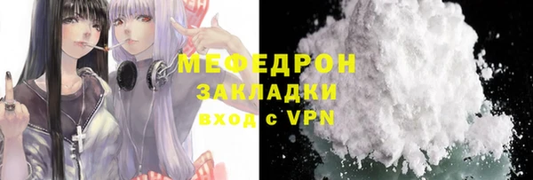 ECSTASY Ельня