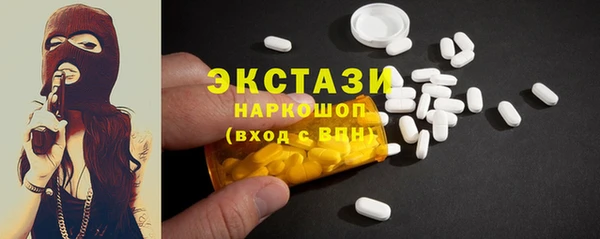 ECSTASY Ельня