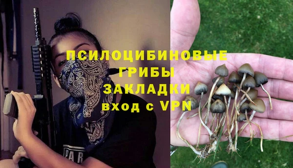 ALPHA-PVP Елабуга