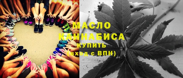 ECSTASY Ельня