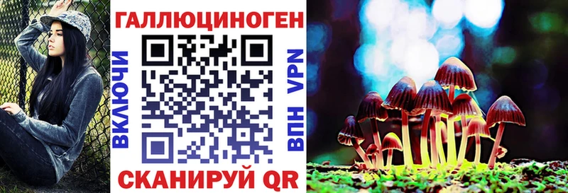 Купить  Багратионовск  Псилоцибиновые грибы MAGIC MUSHROOMS 
